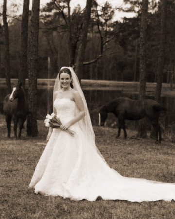  : Engagement & Bridal : Toppel Photography: Exceptional photography for all of your special moments